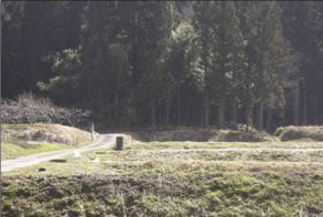 福井県南条郡南越前町